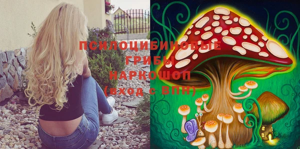прущая мука Иннополис