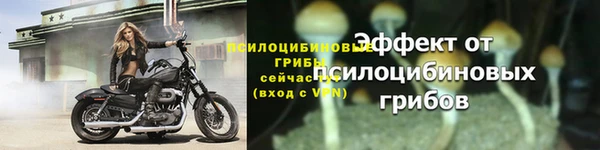 ешки Инсар