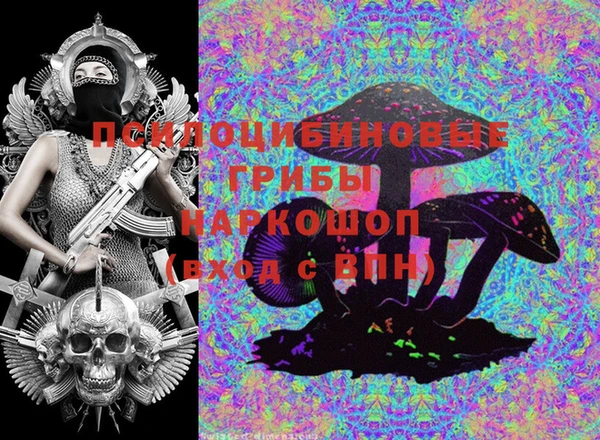 ешки Инсар