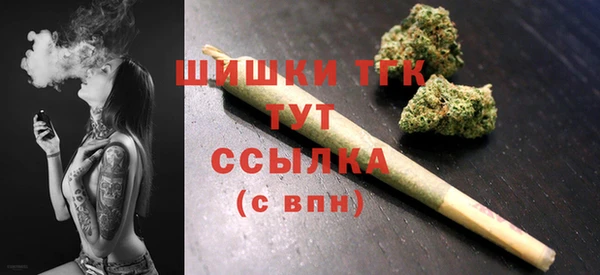 ешки Инсар