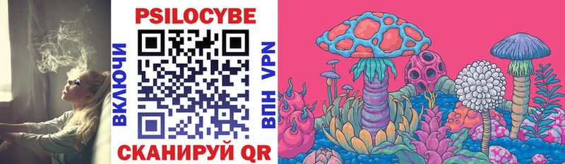 Купить где  Зуевка  Псилоцибиновые грибы Magic Shrooms 
