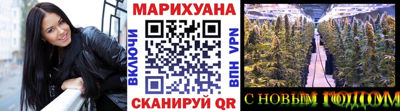 Купить закладки  Зуевка  Конопля план 